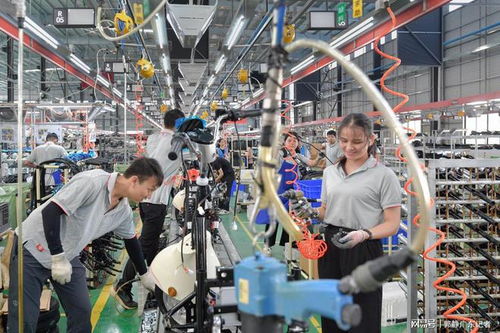 灣區(qū)媒體貴港行 走訪華南最大內河港口,探秘電動車智能工廠